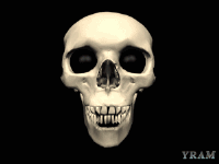 preview-skull-teeth.gif